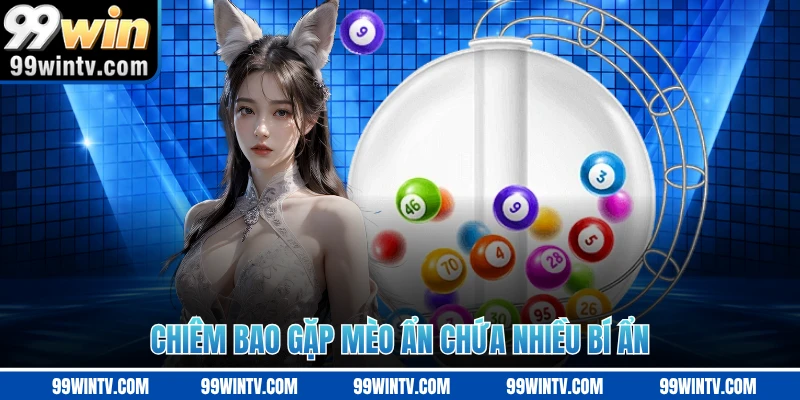 Chiêm bao gặp mèo ẩn chứa nhiều bí ẩn